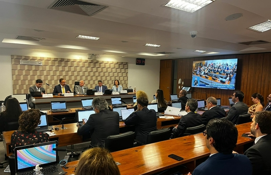 Audiência PL 2489 2