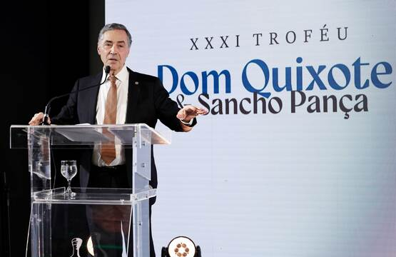 Dom Quixote 2 reduzida